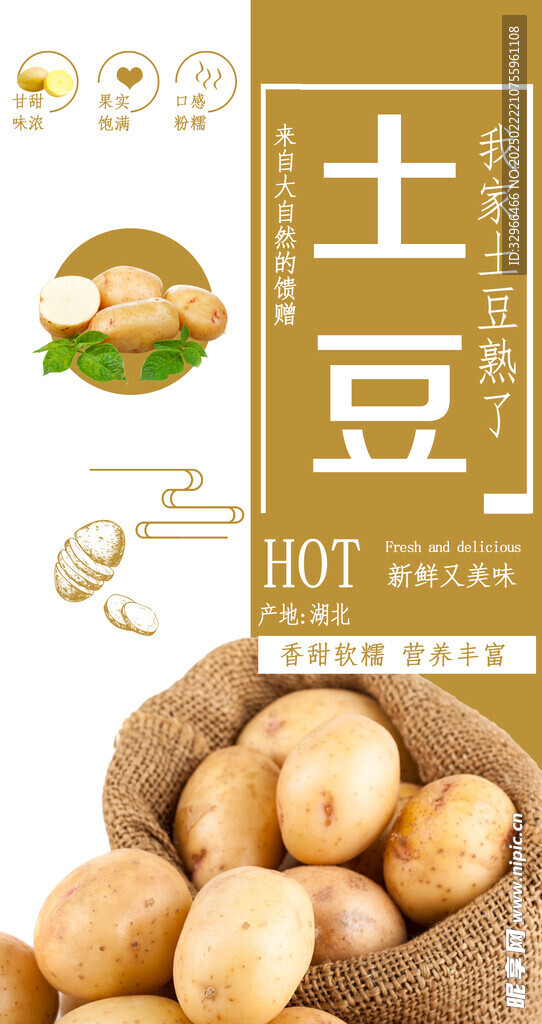 土豆小常识吊旗