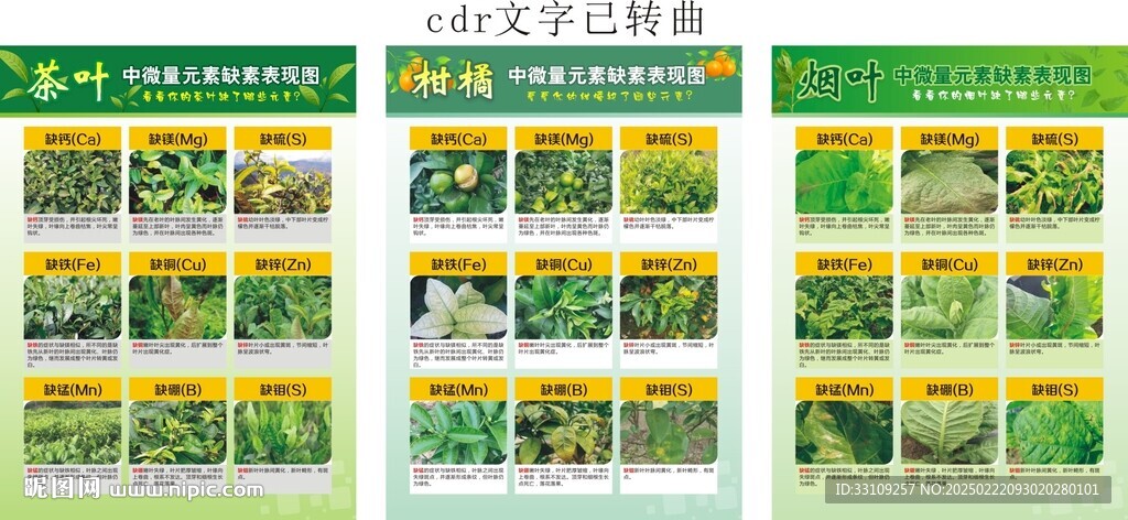 农作物缺素表现图海报