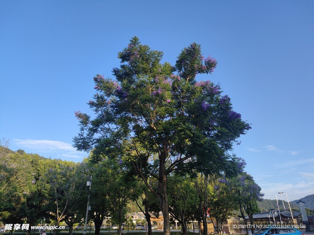 夏天的风景