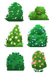 果树绿植花卉插画