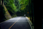 森林公路