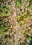 蜿蜒公路