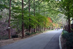 山林公路