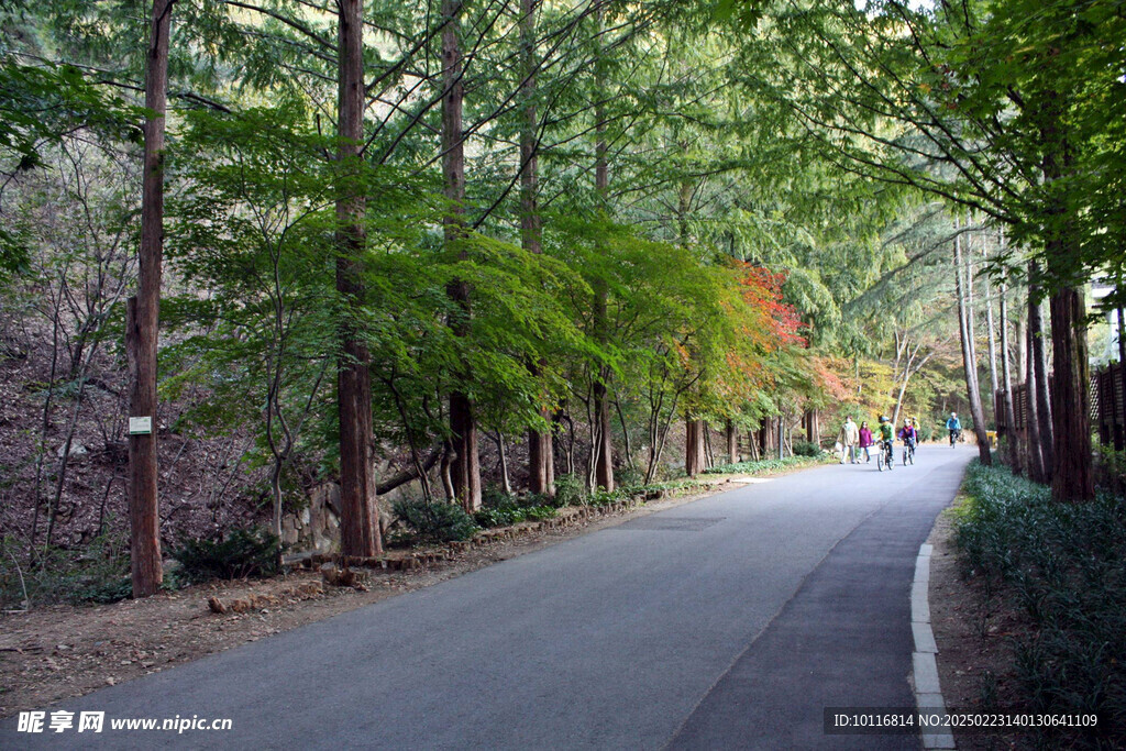 山林公路
