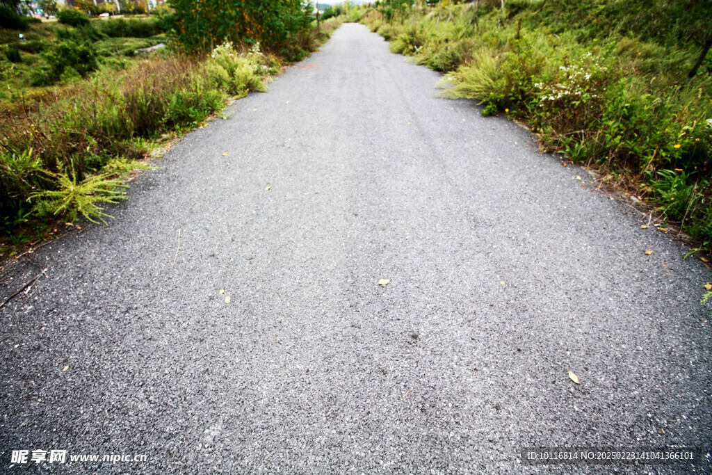 乡村柏油路