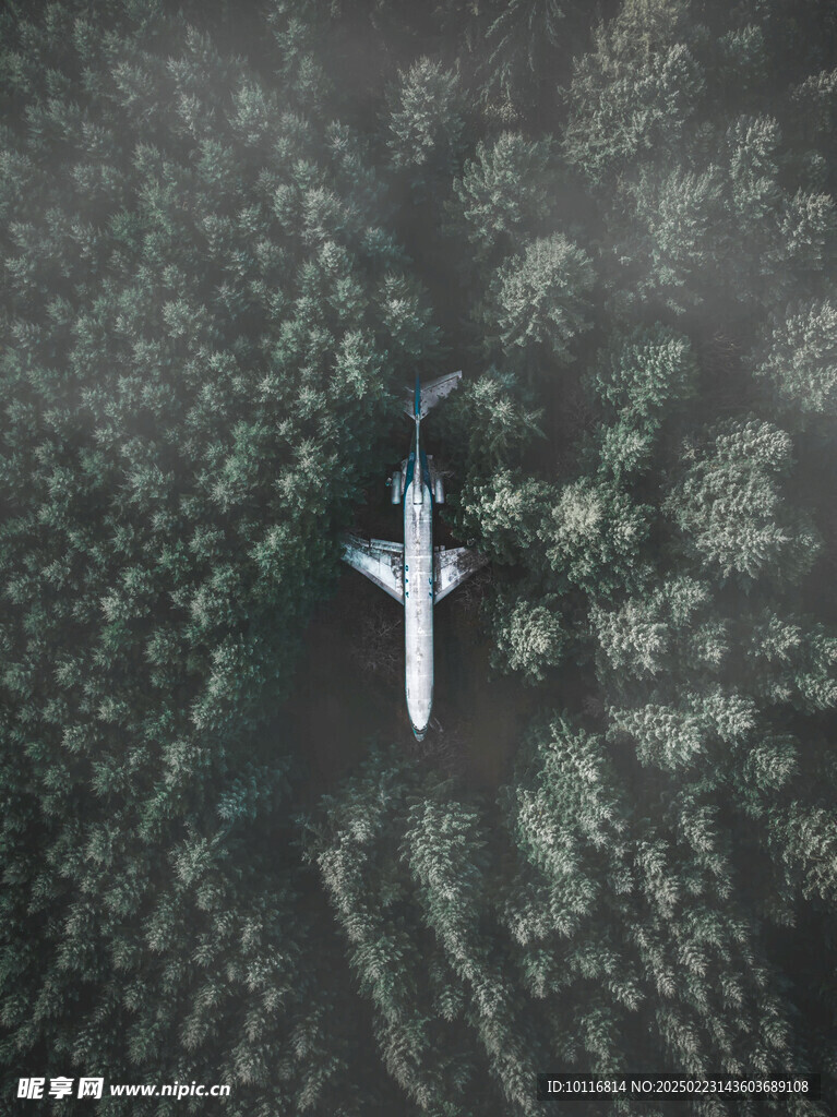 飞机