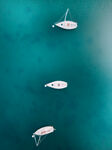 海面快艇