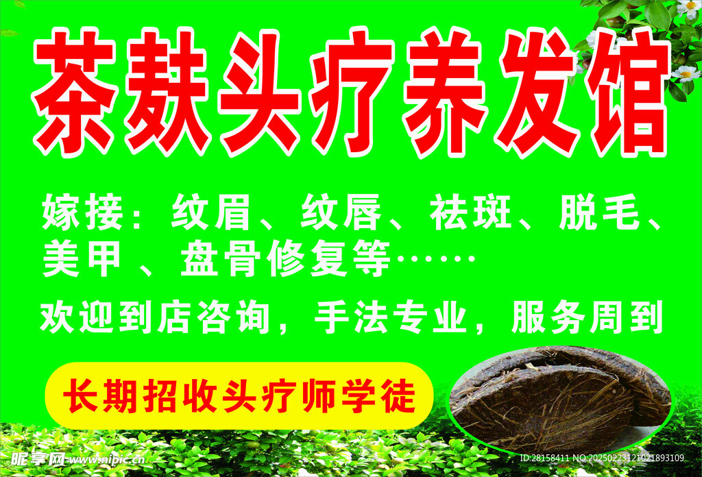 茶麸头疗