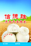 信德胜卡片正蓝天麦穗