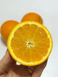 脐橙