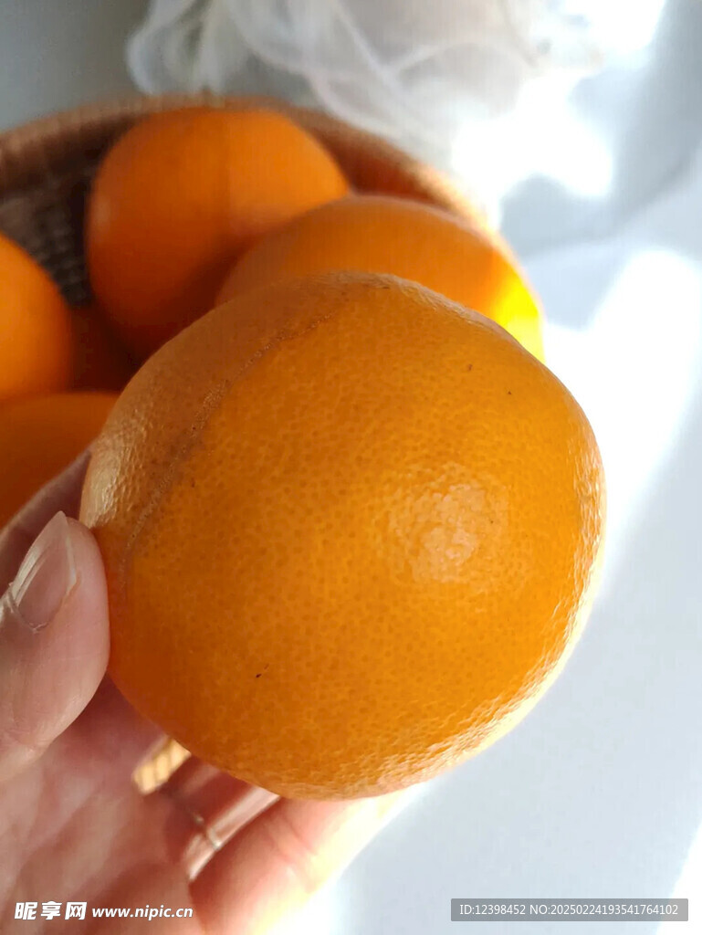 脐橙