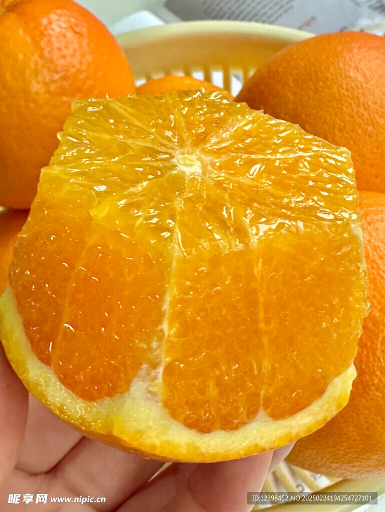 脐橙