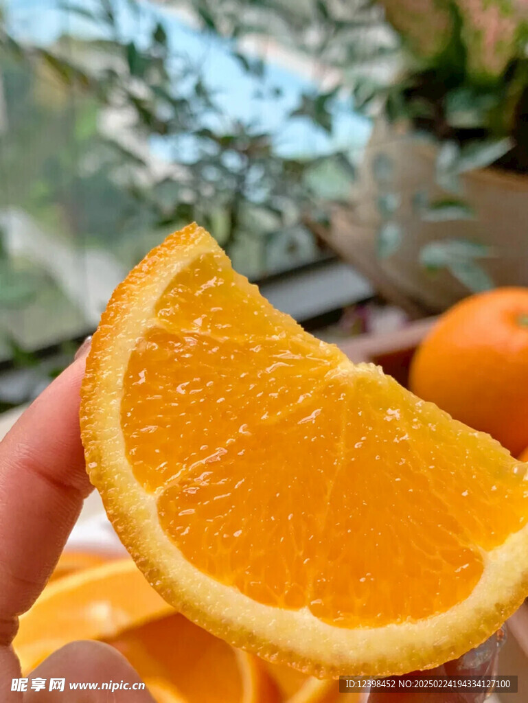 脐橙