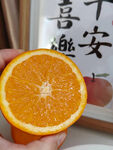 脐橙