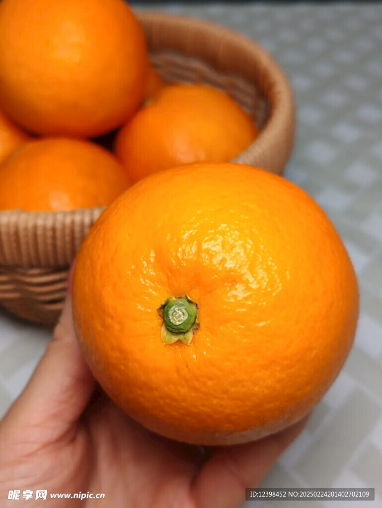 脐橙