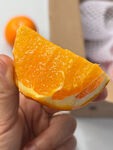 脐橙