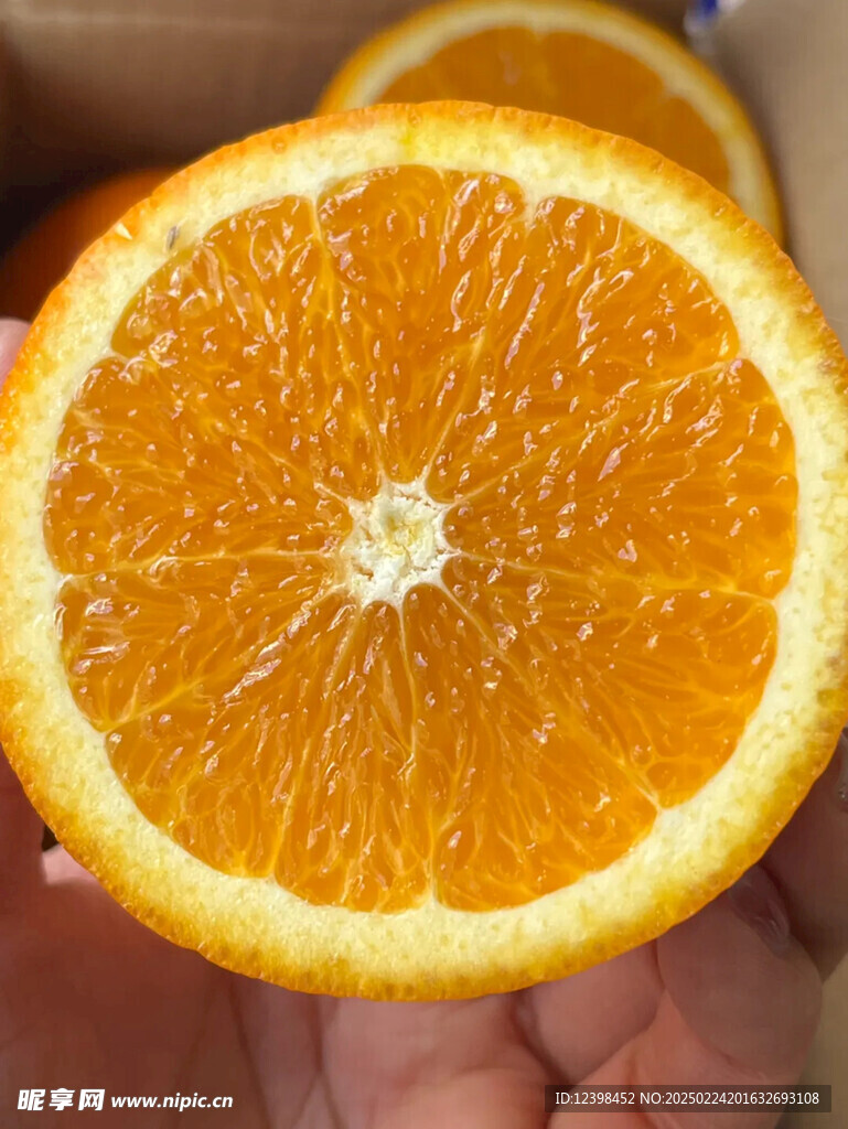 脐橙
