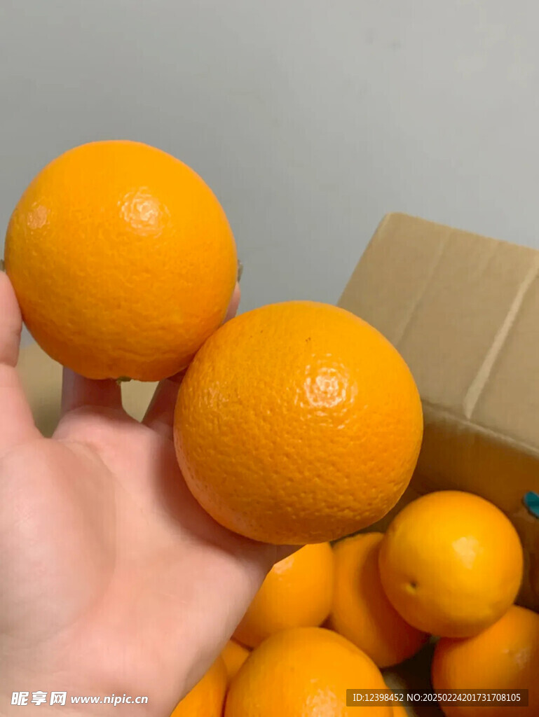 脐橙
