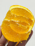 脐橙