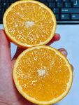 脐橙