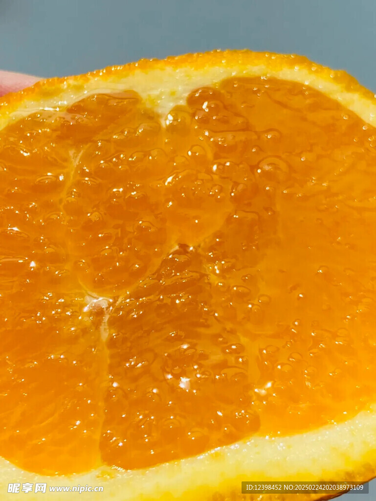 脐橙
