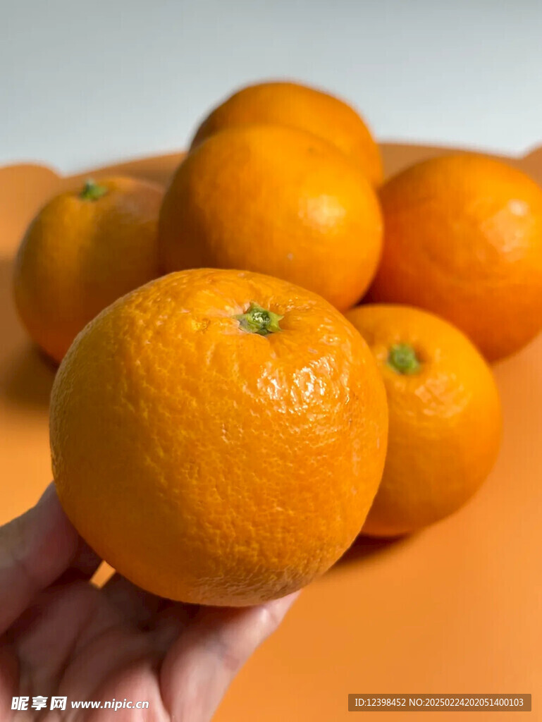 脐橙