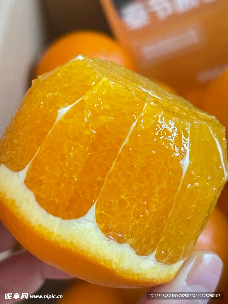 脐橙