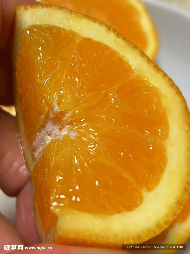 脐橙