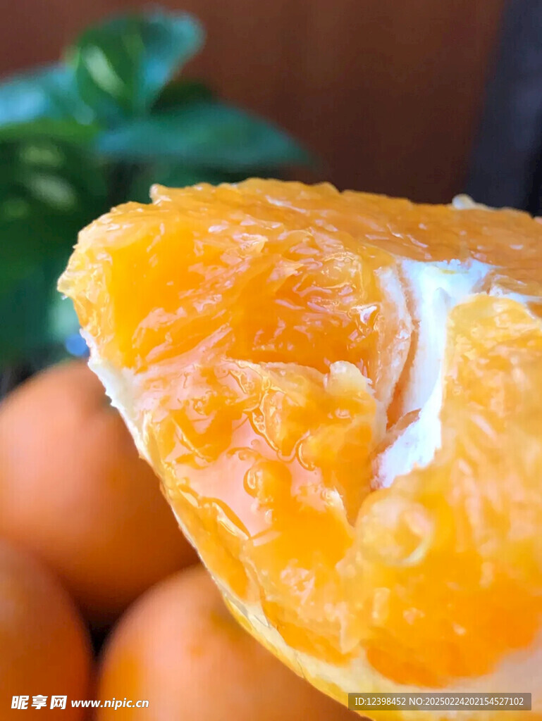 脐橙