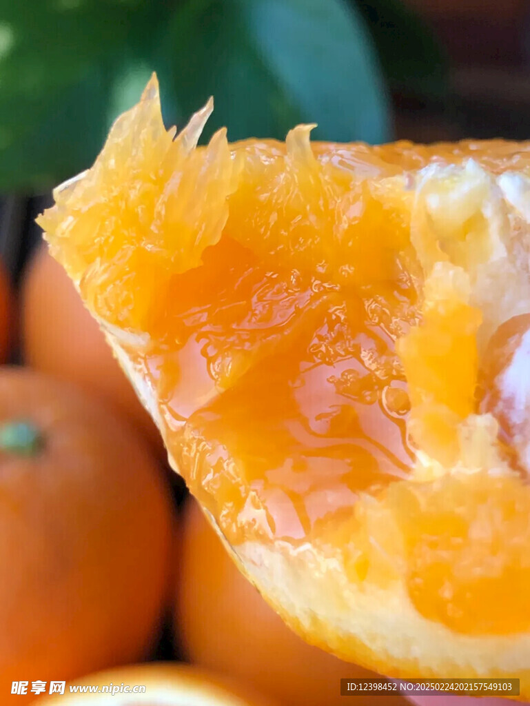 脐橙