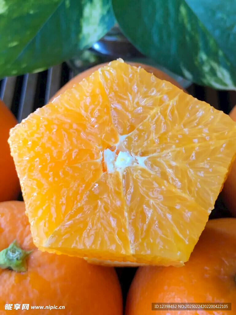 脐橙