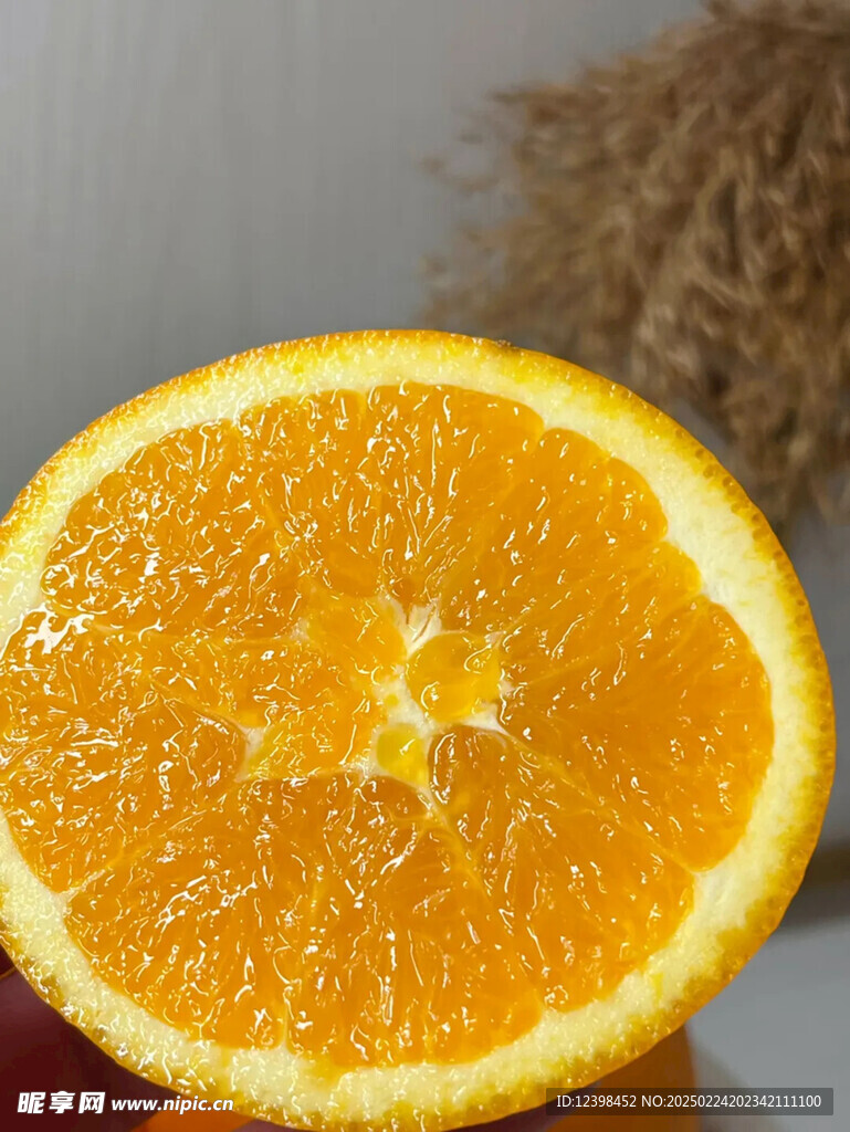 脐橙