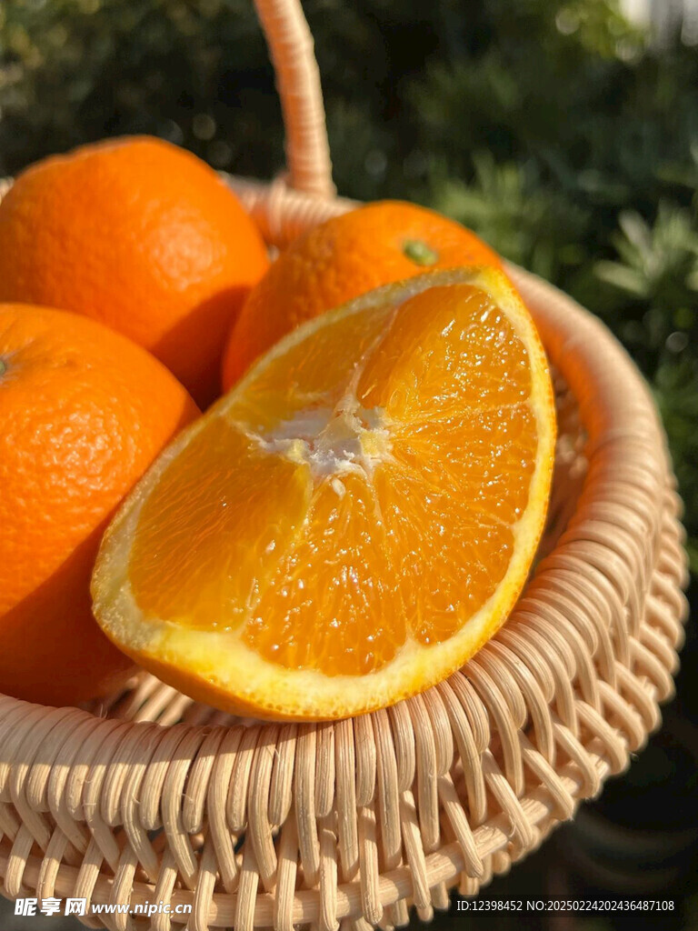 脐橙