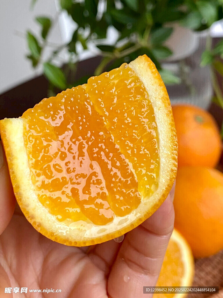 脐橙