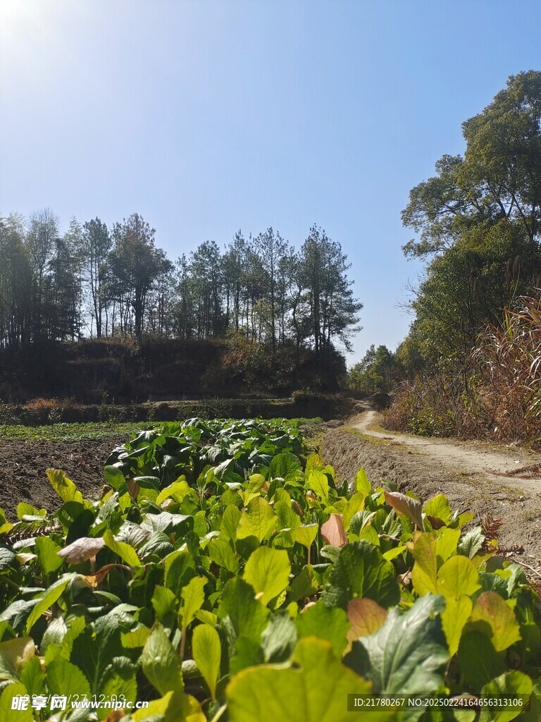 山间小路