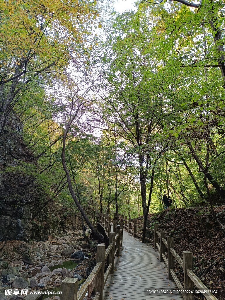 山间木板路