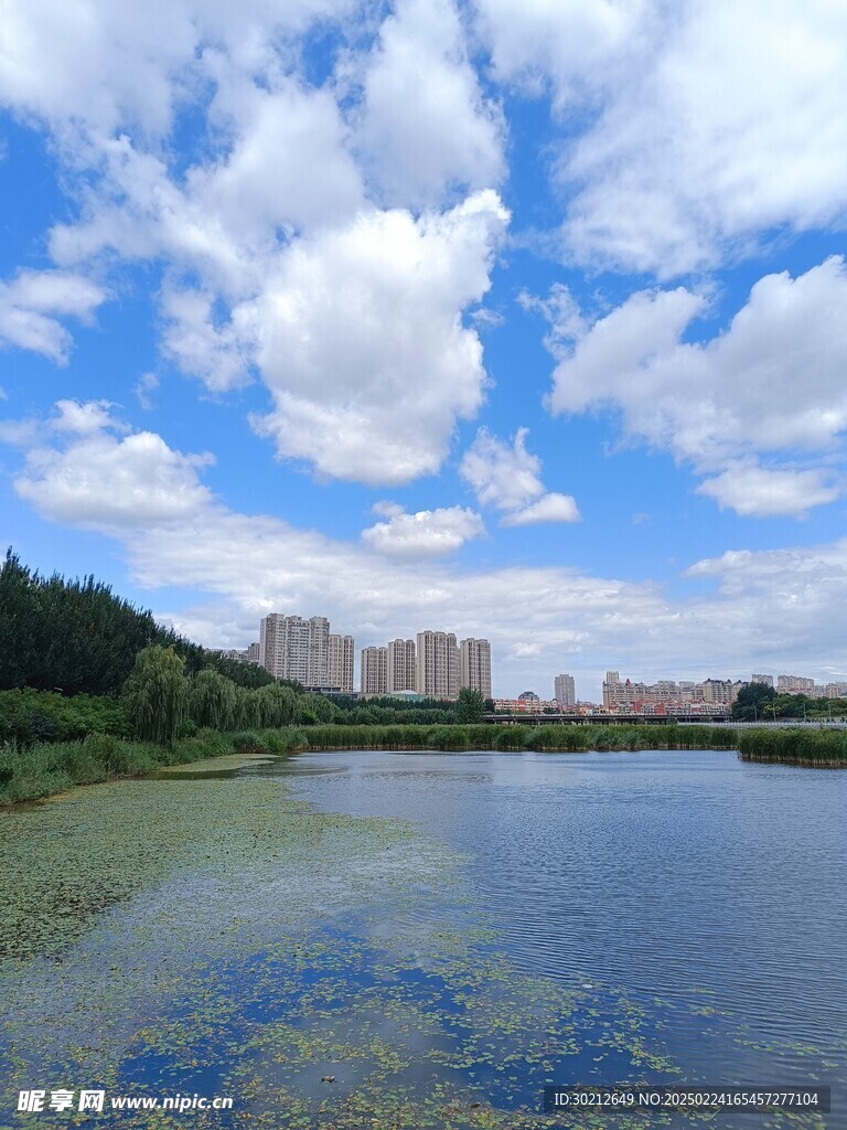 城市风光