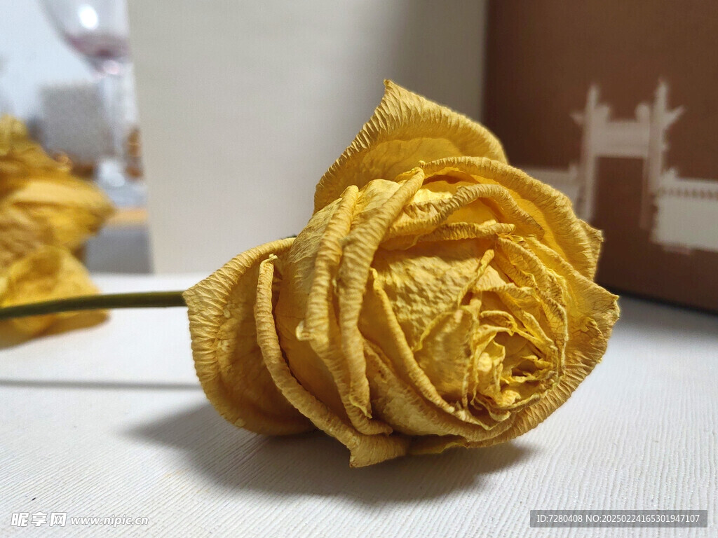 装饰摆设 玫瑰干花 枯萎 静物
