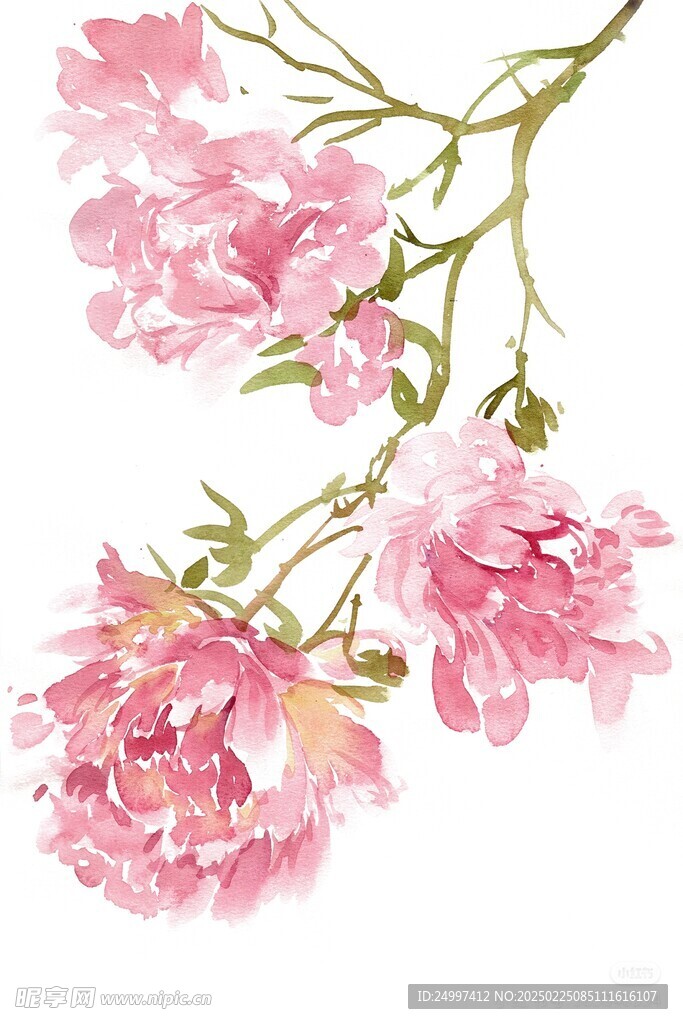 彩绘花朵