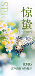 惊蛰海报