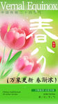 惊蛰海报