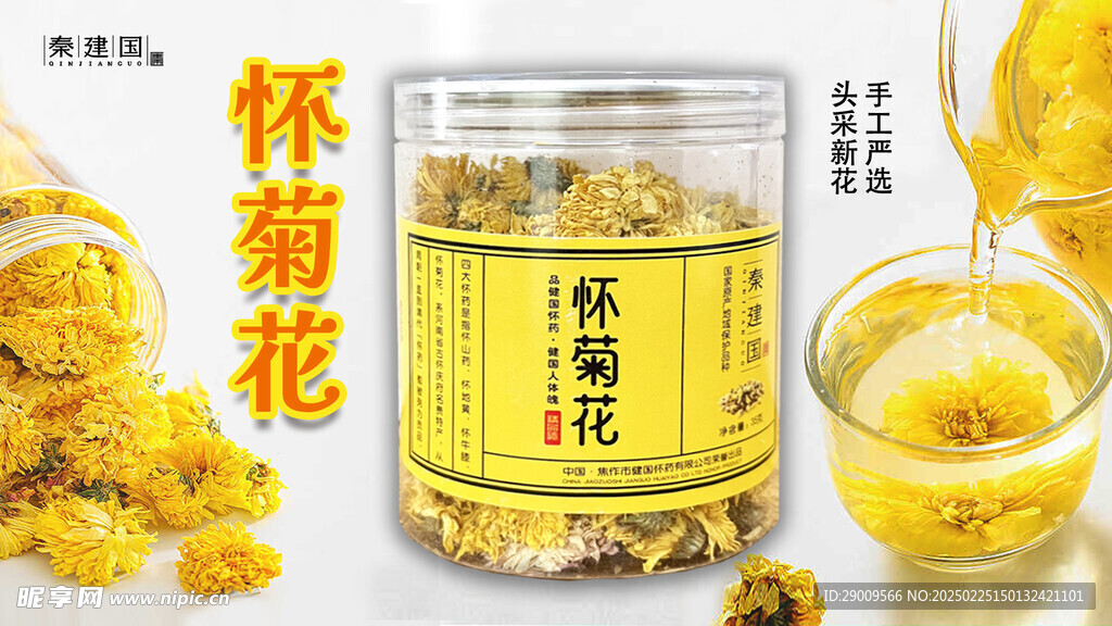 怀菊花海报