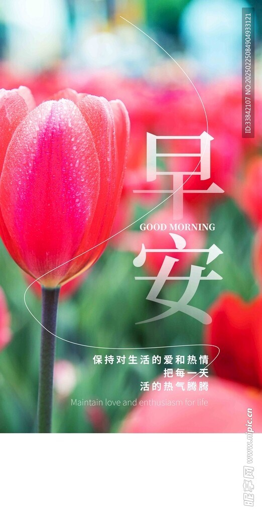  早安