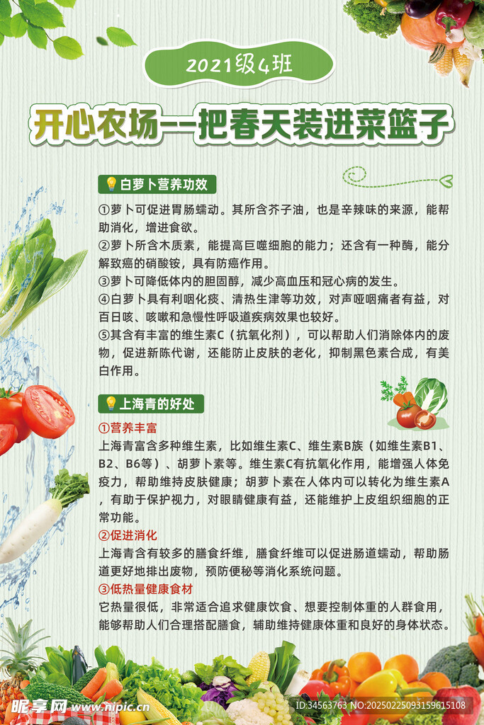 蔬菜介绍海报