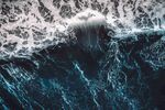 海