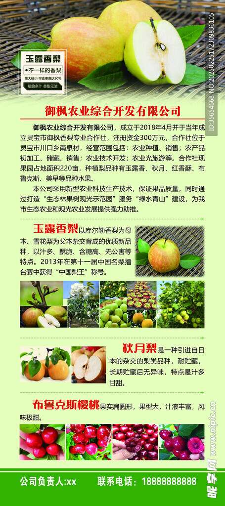 玉露香梨海报展架
