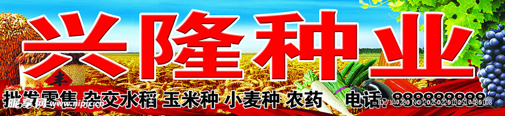 兴隆种业