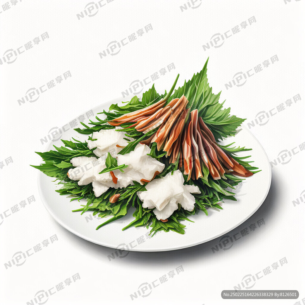 鱼腥草插画 白底