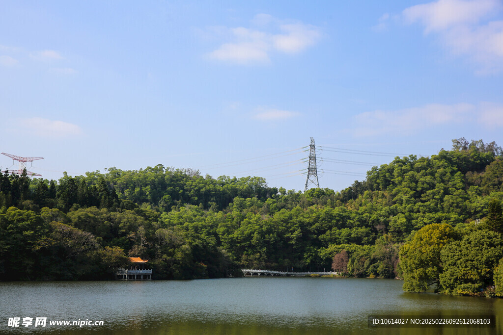 仙湖 植物园