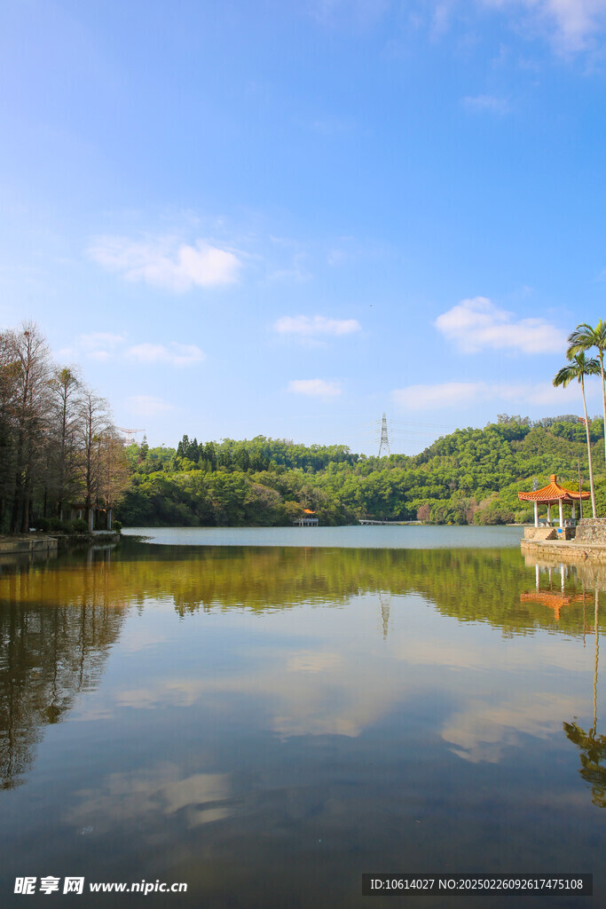 仙湖 植物园